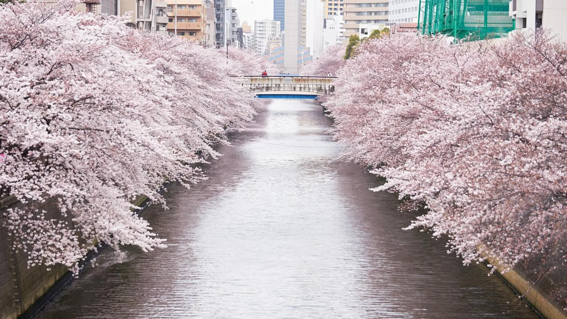 Hotel Gajoen Tokyo Giappone