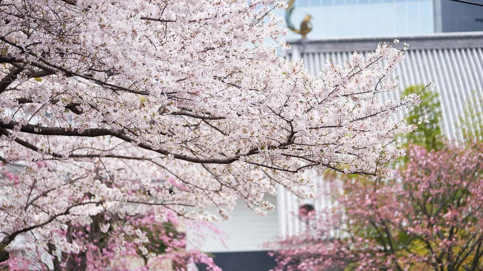 Hotel Gajoen Tokio 5*,  Japan